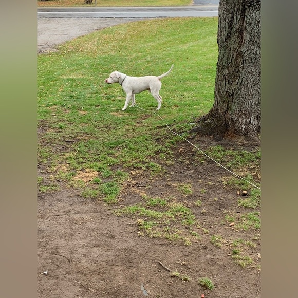 Meet your Posher, Megan - Picture 12 of 15